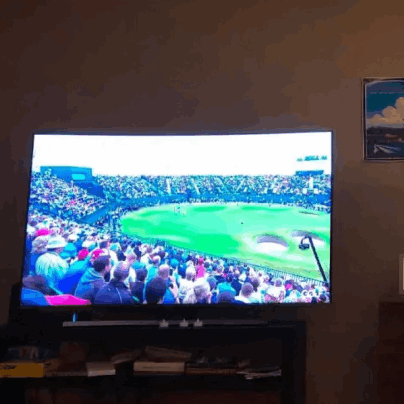 WaveVivo Tv Antenna, customer  James R.~ Florida, USA
